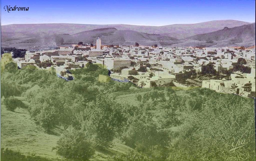 Nedroma 08.jpg